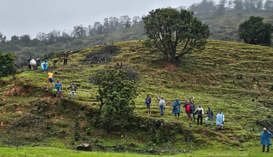 Parsons Valley to Mukurthi Hut Trek: Route, Permit & Difficulty